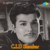 T. M. Sounderarajan - Brindavanathil
