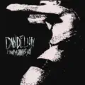 Under My Skin
