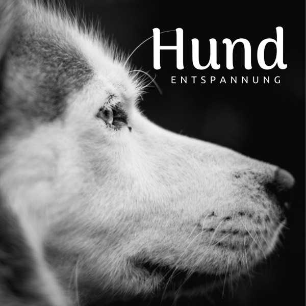 Hund: Entspannung