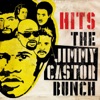 The Jimmy Castor Bunch