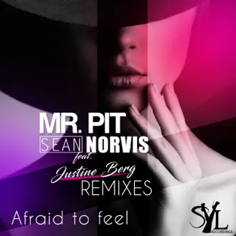 Afraid to feel Remixes (feat. Justine Berg) by Mr. Pit & Sean Norvis album reviews, ratings, credits