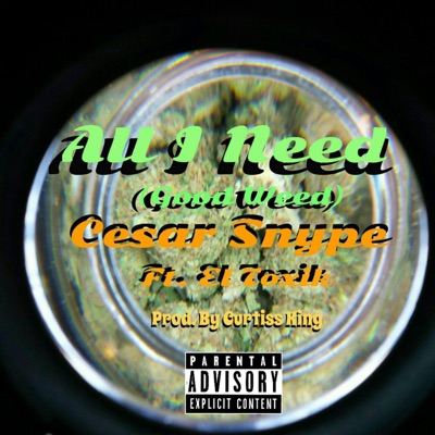 All I Need (feat. El Toxik) - Single