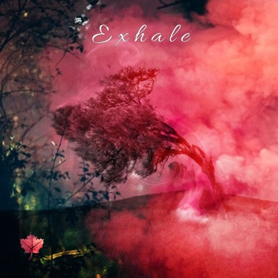 Exhale - Single