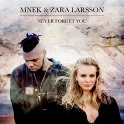 Never Forget You - Single - Zara Larsson