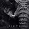 Muerte Espiritual (feat. Boster) - Siute lyrics