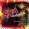 Ska 'n dalo, 2004