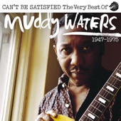 Muddy Waters - You Shook Me