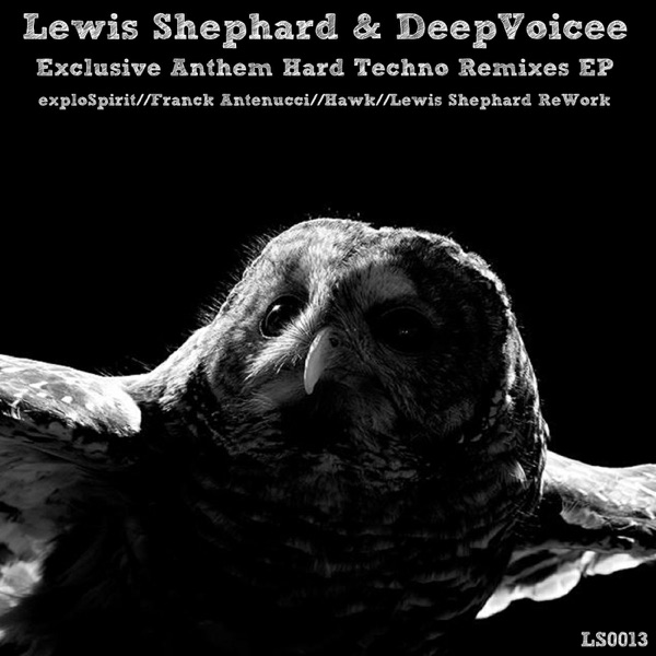Exclusive Anthem Hard Techno Remixes - EP