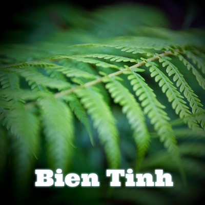Bien Tinh