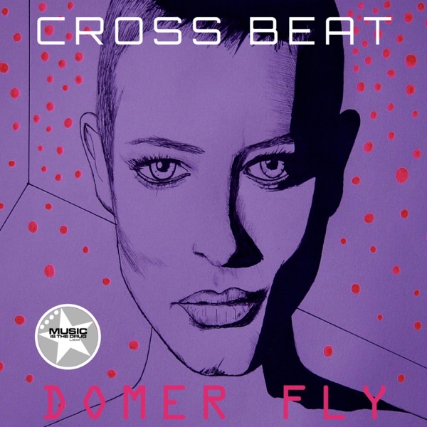 Domer Fly - Single