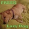 Hello June - Freek lyrics