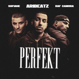 Perfekt RAF Camora, AriBeatz & Sofiane