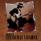 Stevie Ray Vaughan - Taxman (Album Version)