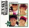 JUN SKY WALKER(S)