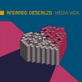 Media Vida artwork