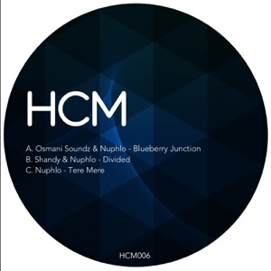 Blueberry Junction - Single