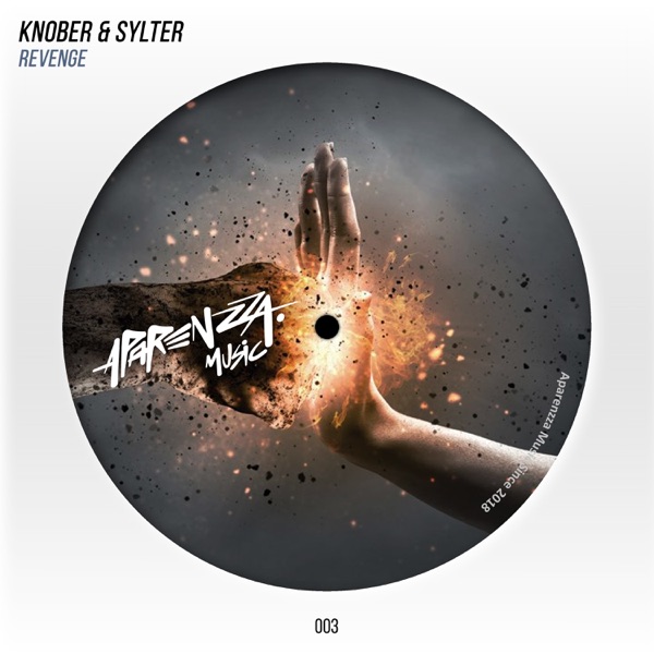 Revenge - Single