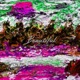 Beautiful feat Zesty Terry Single
