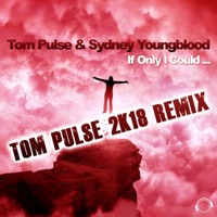 If Only I Could (Tom Pulse 2K18 Remix) [Remixes] - Single - Tom Pulse & Sydney Youngblood