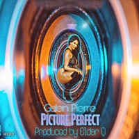 Picture Perfect - Single - Galen Pierre