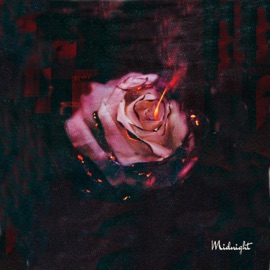 Magic Flute Take/Five