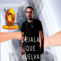 Déjala Que Vuelva (Cover) - Single - Diamond Danger