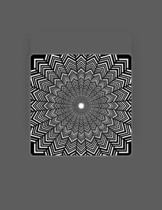 收听 Yung Lederhosen、观看音乐视频、阅读小传、查看巡演日期等 ！