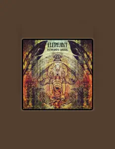 ELEPHANT: песни, клипы, биография, даты выступлений и многое другое.