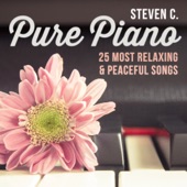 Pure Piano: 25 Most Relaxing & Peaceful Songs artwork