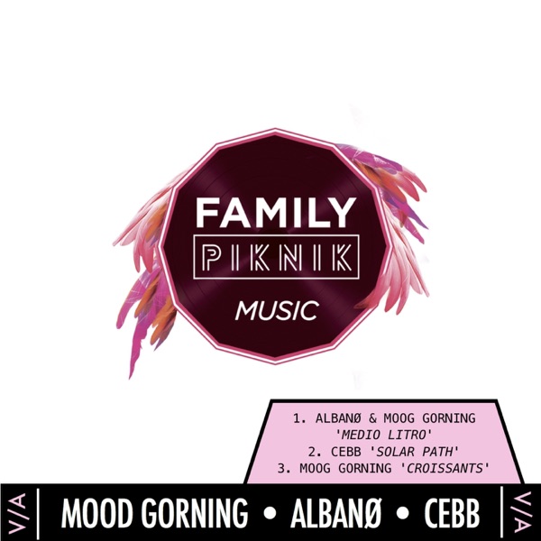 V/A Casa de Flamingos - Single