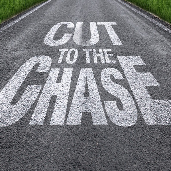 CutToTheChase: Business, Marketing and Life Hacks For Your Online Business cover