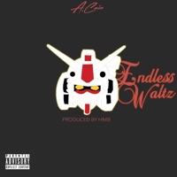 Endless Waltz - Single - Acain