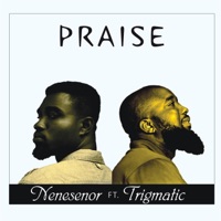 Praise (feat. Trigmatic) - Single - Nenesenor