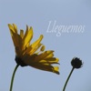 Lleguemos - Single