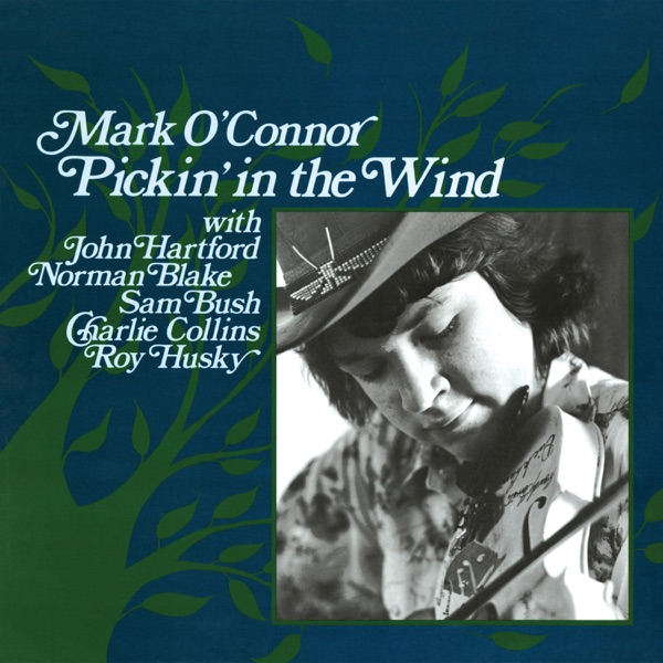 Pickin' In the Wind (feat. John Hartford, Norman Blake, Sam Bush, Charlie Collins & Roy Husky Jr.)