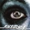 It's Not Ironic, It's Obvious - A Skylit Drive lyrics