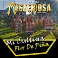 Flor de pina
