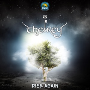 Rise Again - Single