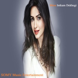 Krishna Beura - Mera Intkam Dekhegi
