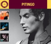 Pitingo - Lucha por Su Dinero (She Works Hard for the Money)