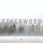 Etherwood - Three Eagles