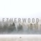 Bear's Breeches (feat. Anile) - Etherwood lyrics