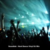Hard Dance Vinyl (DJ Mix) cover art