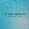 Relaxing Rain Sounds - EP