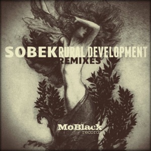 Rural Development (Remixes) - EP