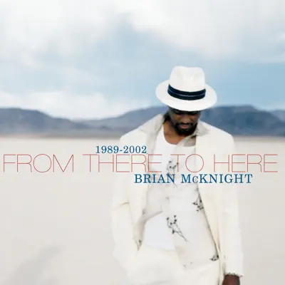 From There to Here 1989-2002 - Brian Mcknight