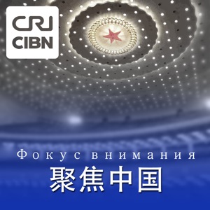 中国(上海)自由贸易试验区临港新片区将为世界经济发展注入新动力 (俄语)