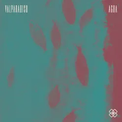 Agua (Remix KBNT Snapduck & Oddysseyy Dj) - Single - Valparadiso Agua (Remix KBNT Snapduck & Oddysseyy Dj) - Single - Valparadiso