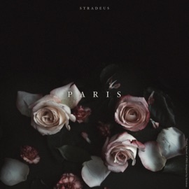Paris STRADEUS