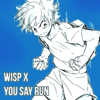 Album cover for You Say Run by Wisp X